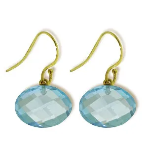 12 Carat 14K Solid Yellow Gold Fish Hook Earrings Natural Blue Topaz