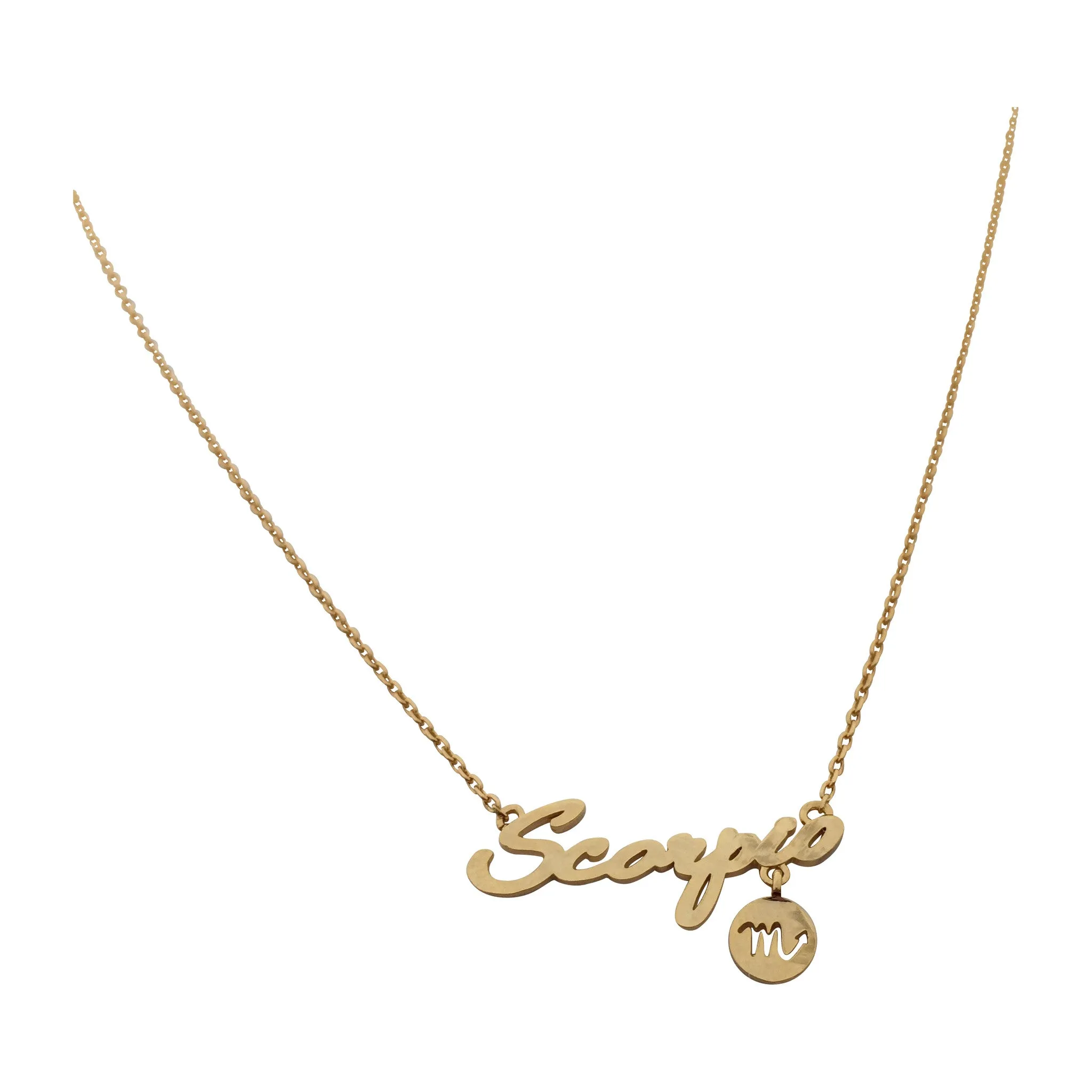 Capricorn Zodiac Necklace (gold)