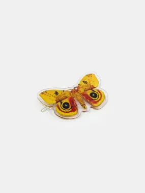 Clip: Io Moth