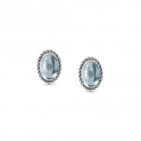 Oval Rich Stone Light Blue Topaz Earrings 027800/025