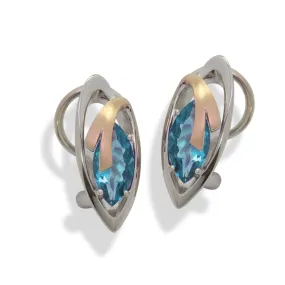 Sterling Silver Blue Topaz Earrings - 02/83711-BT